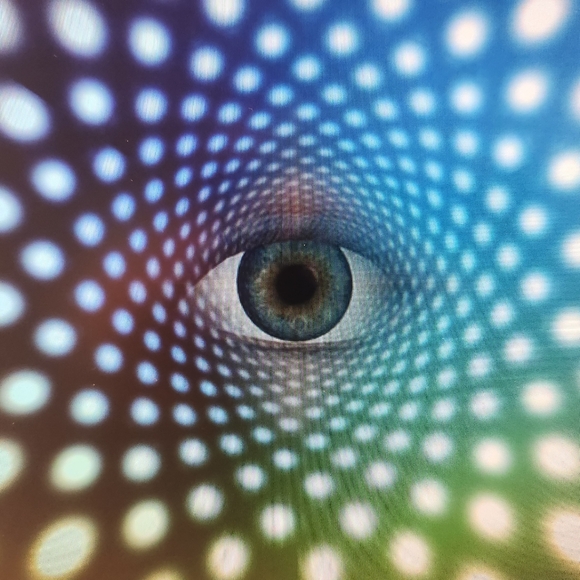 Meet your Posher, Patrick - Picture 7 of 9